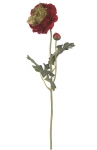 Euroflor | 54073 RANUNCULUS SPRAY   Euroflor