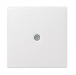 GIRA | 027403      Syst 55 Gira